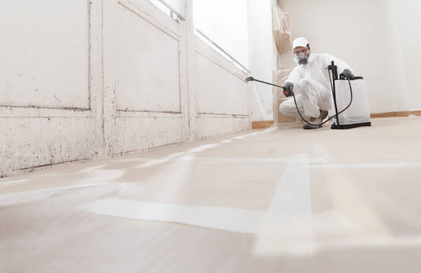 24/7 Emergency Bathroom Mold Removal experts in Sterling, IL